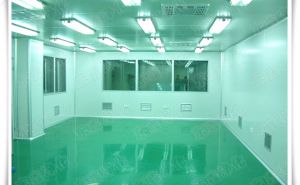 生物凈化工程，【東鑫凈化】為您消除有害病菌