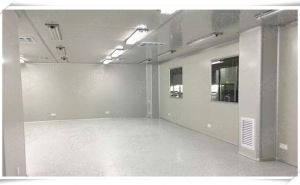 凈化車(chē)間施工公司帶你探討潔凈室的特點(diǎn)【東鑫凈化】